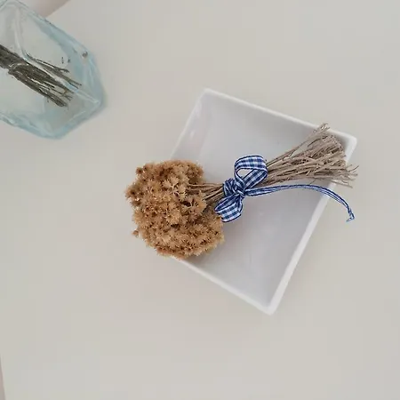شقة Apartman Plavet روغوزنيكا
